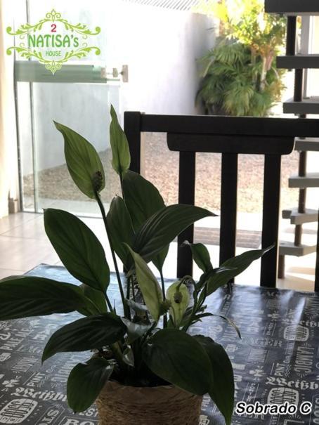 Villa Sobrados Aconchegante Com Piscina "Natisashouse" Bombinhas Esterno foto